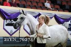 21YN_76274 thumbnail