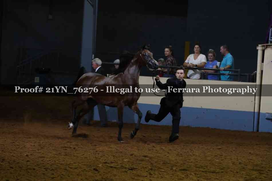 Proof Number 21YN_76276