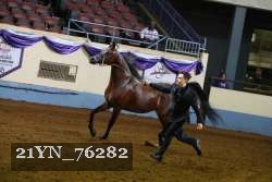 21YN_76282 thumbnail