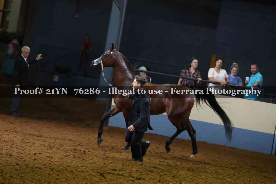Proof Number 21YN_76286