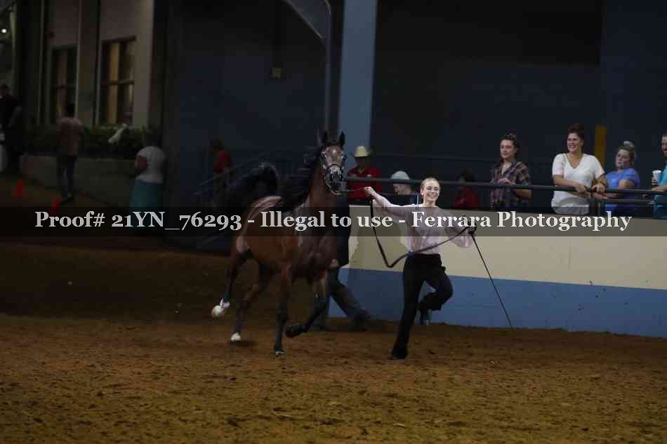 Proof Number 21YN_76293