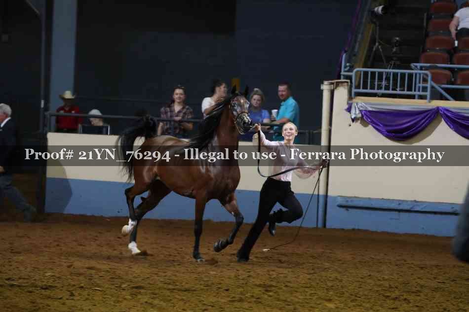 Proof Number 21YN_76294