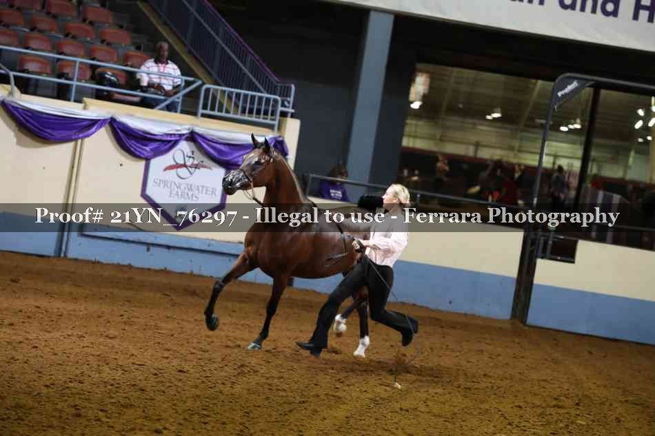 Proof Number 21YN_76297