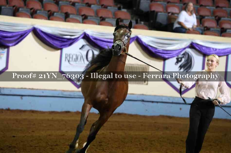 Proof Number 21YN_76303