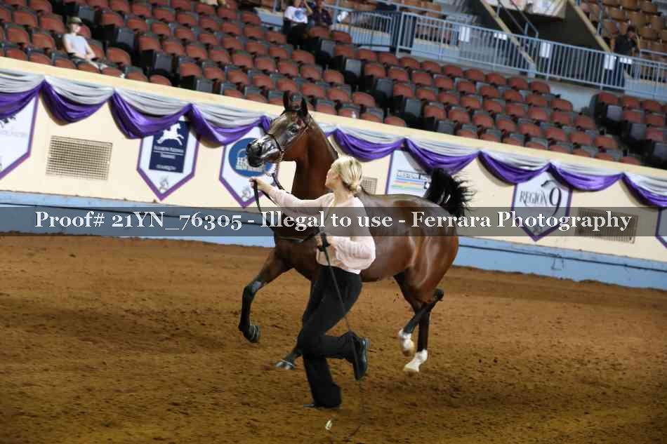 Proof Number 21YN_76305