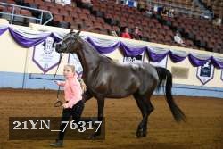 21YN_76317 thumbnail