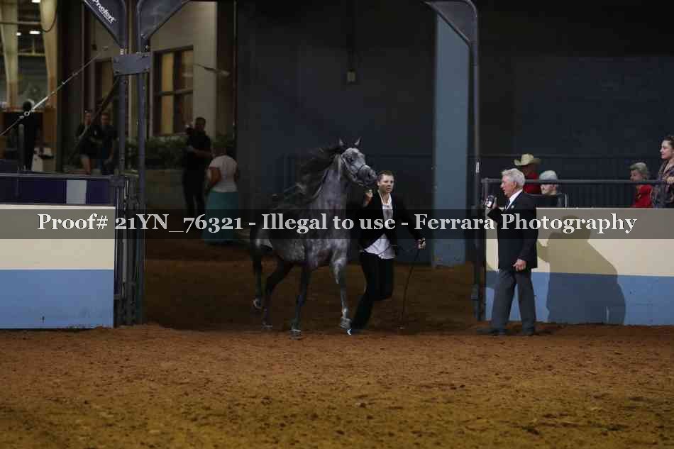Proof Number 21YN_76321