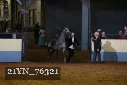 21YN_76321 thumbnail