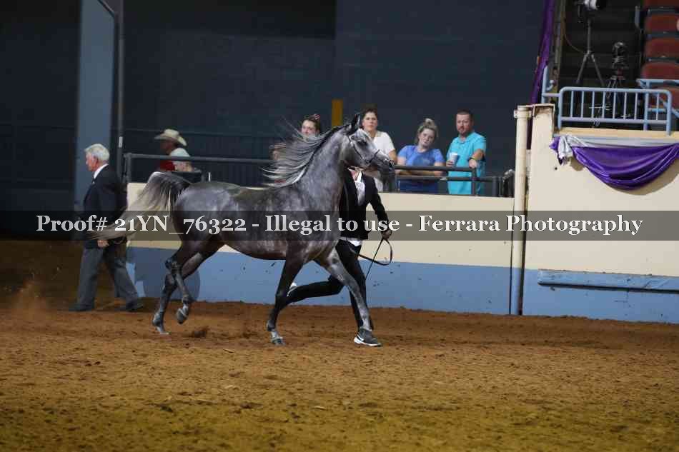 Proof Number 21YN_76322