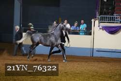 21YN_76322 thumbnail