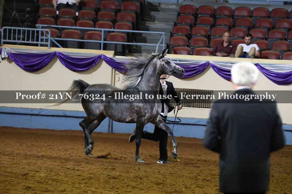Proof Number 21YN_76324