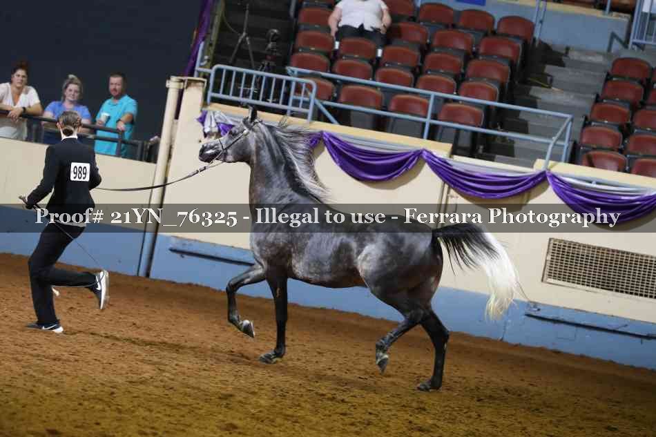 Proof Number 21YN_76325