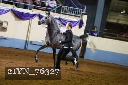 21YN_76327 thumbnail