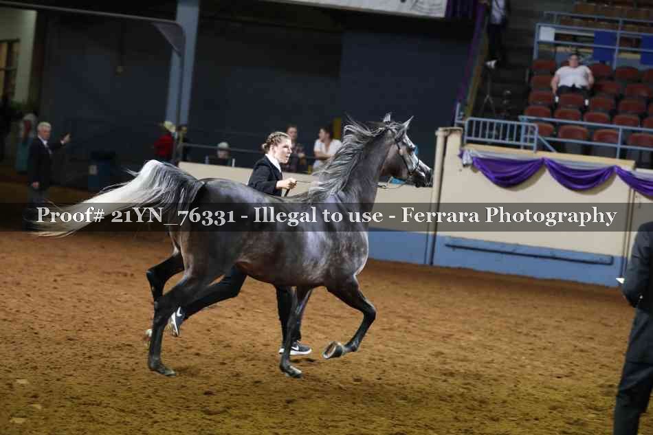 Proof Number 21YN_76331