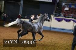 21YN_76331 thumbnail