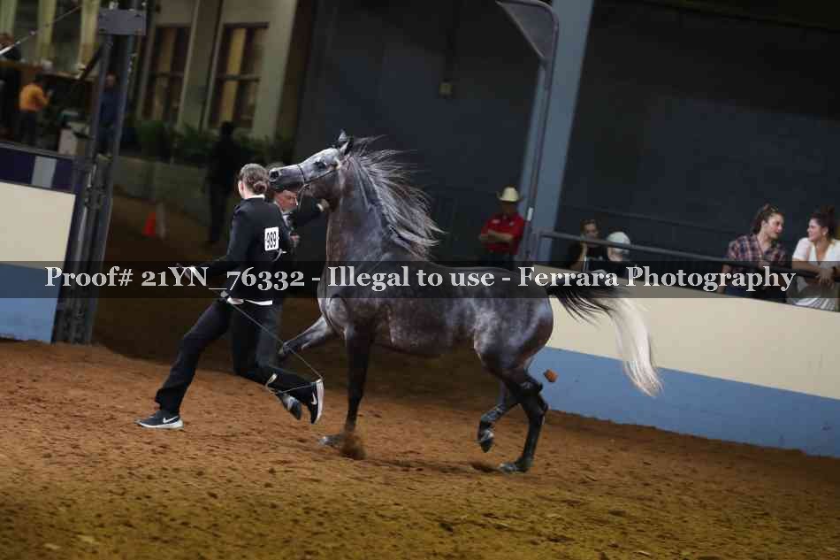 Proof Number 21YN_76332