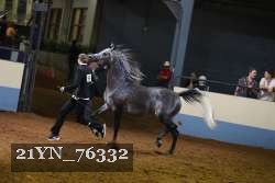 21YN_76332 thumbnail