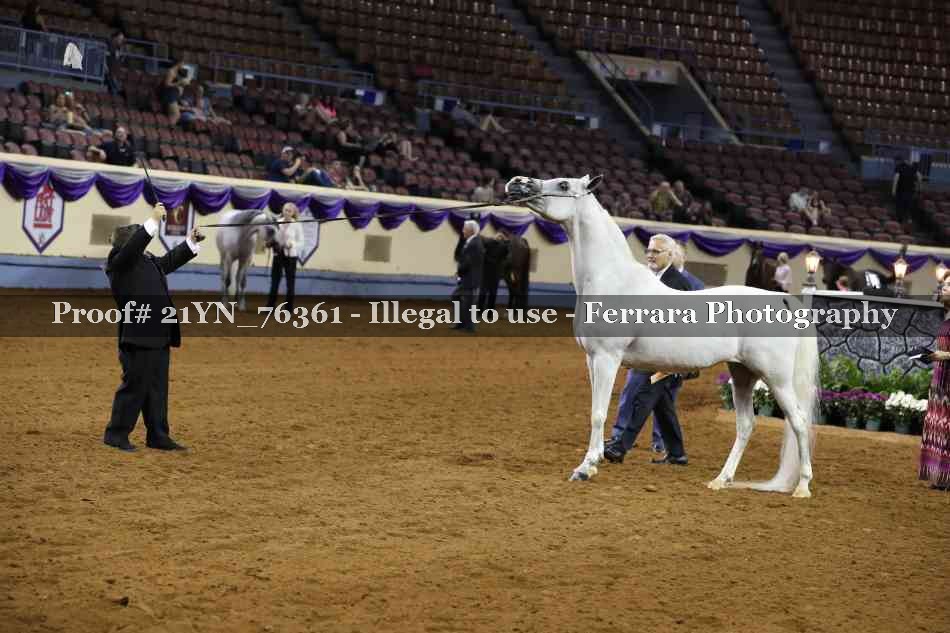Proof Number 21YN_76361