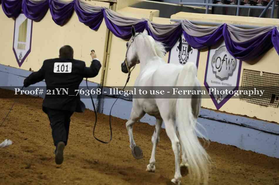 Proof Number 21YN_76368