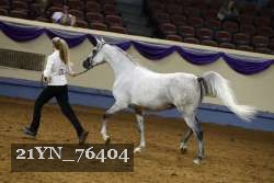21YN_76404 thumbnail