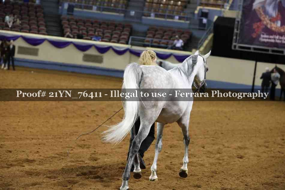 Proof Number 21YN_76411