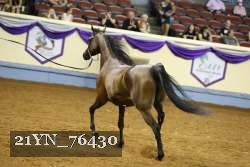 21YN_76430 thumbnail