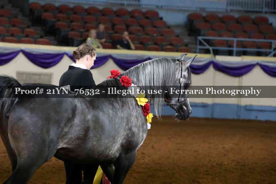Proof Number 21YN_76532
