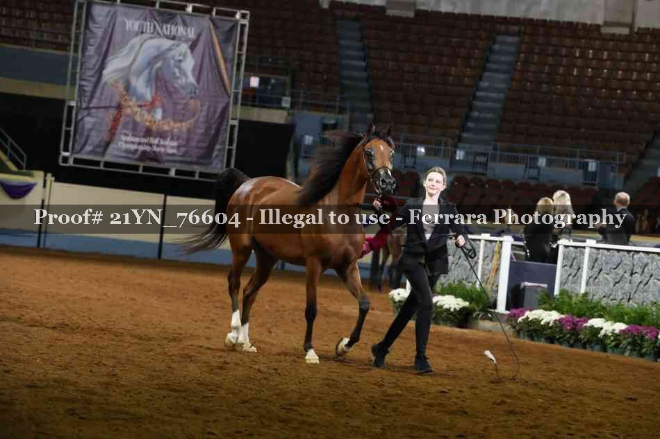 Proof Number 21YN_76604