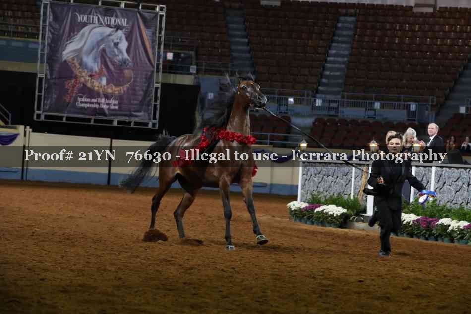 Proof Number 21YN_76630