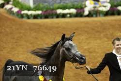 21YN_76649 thumbnail