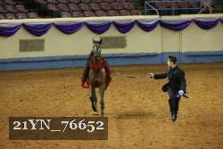 21YN_76652 thumbnail