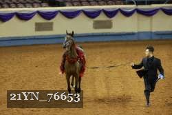 21YN_76653 thumbnail