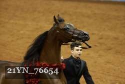 21YN_76654 thumbnail