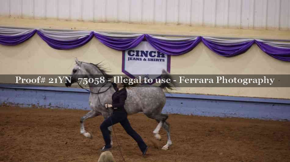 Proof Number 21YN_75058