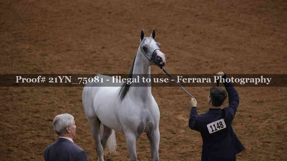 Proof Number 21YN_75081