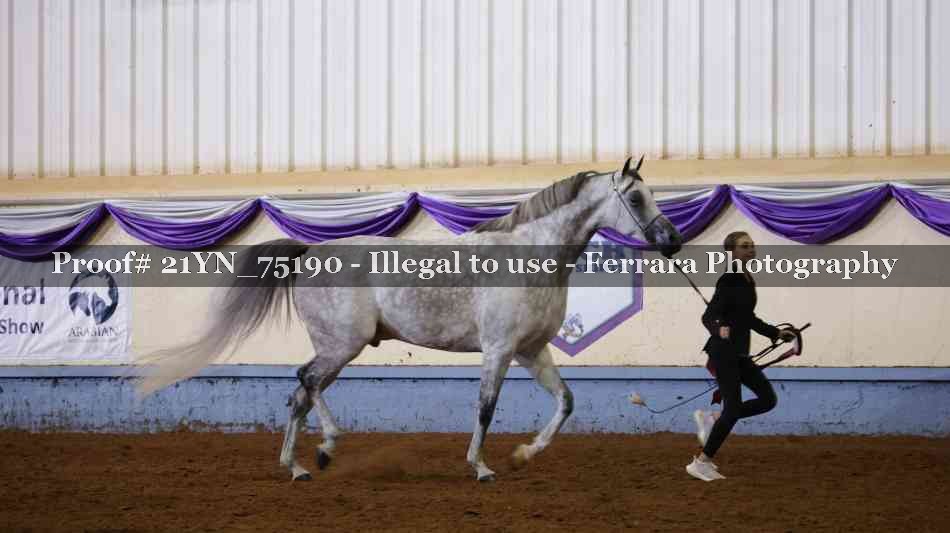 Proof Number 21YN_75190