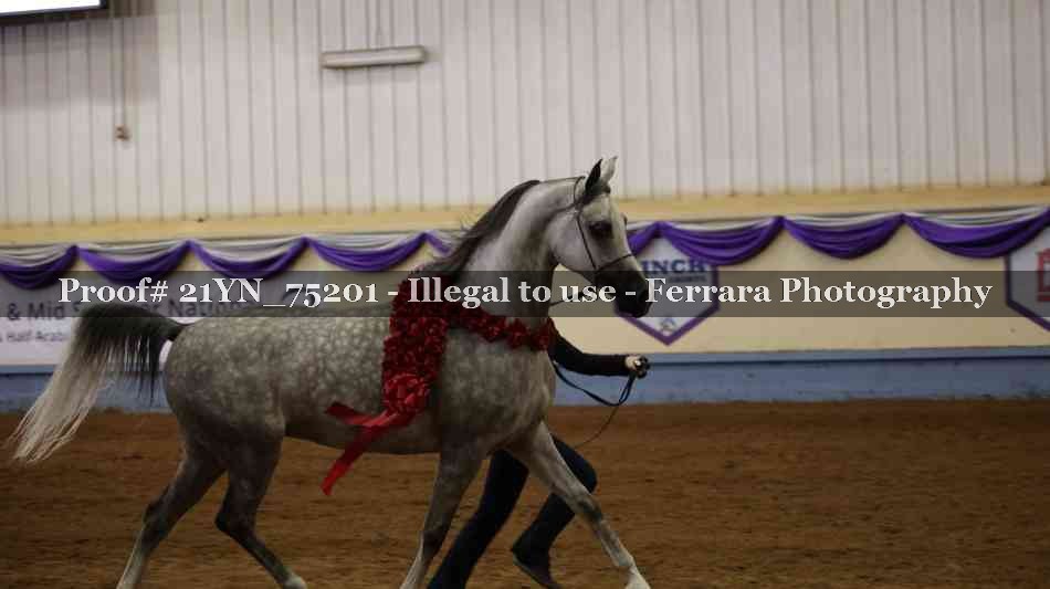 Proof Number 21YN_75201