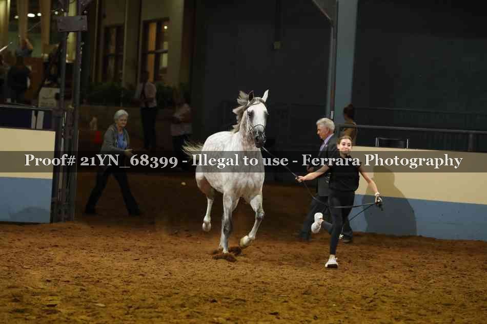 Proof Number 21YN_68399