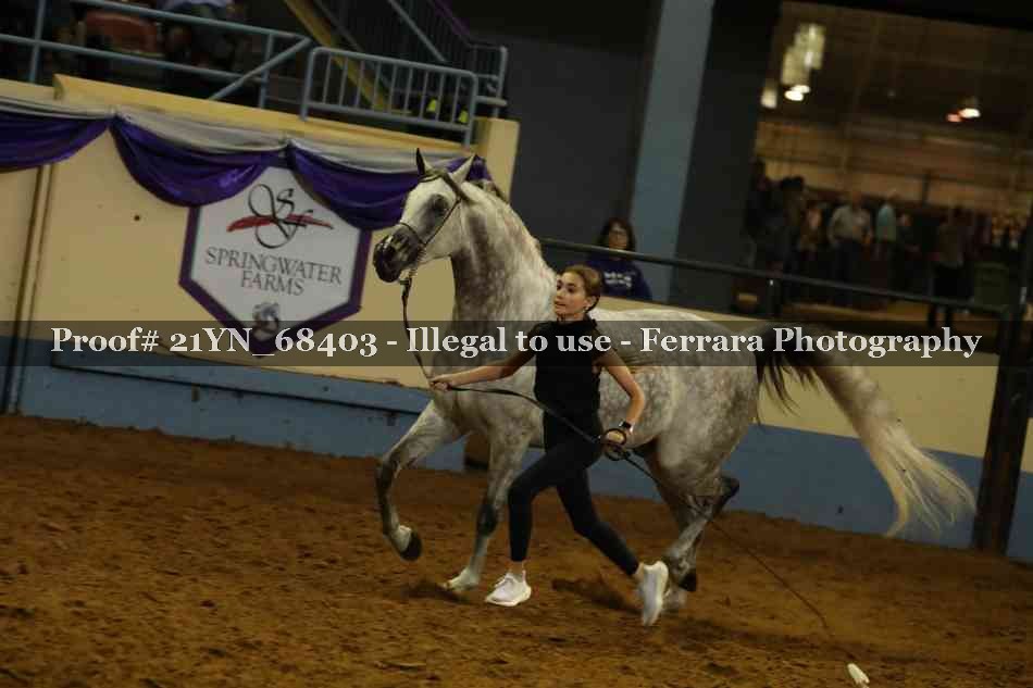 Proof Number 21YN_68403