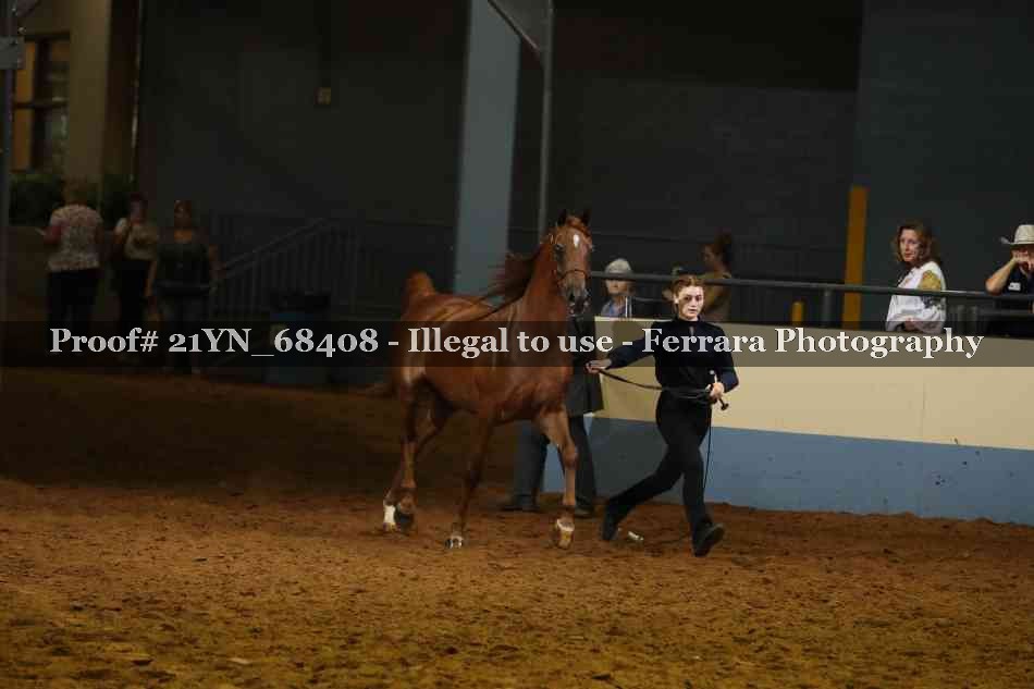 Proof Number 21YN_68408