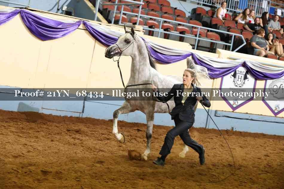 Proof Number 21YN_68434