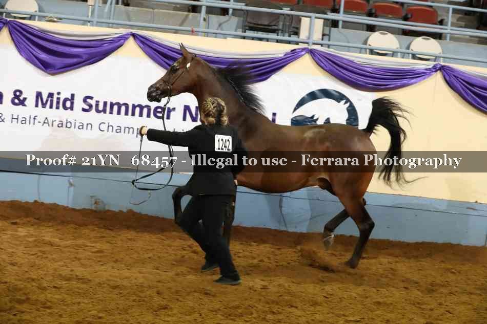 Proof Number 21YN_68457