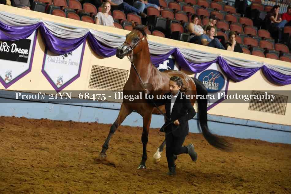 Proof Number 21YN_68475