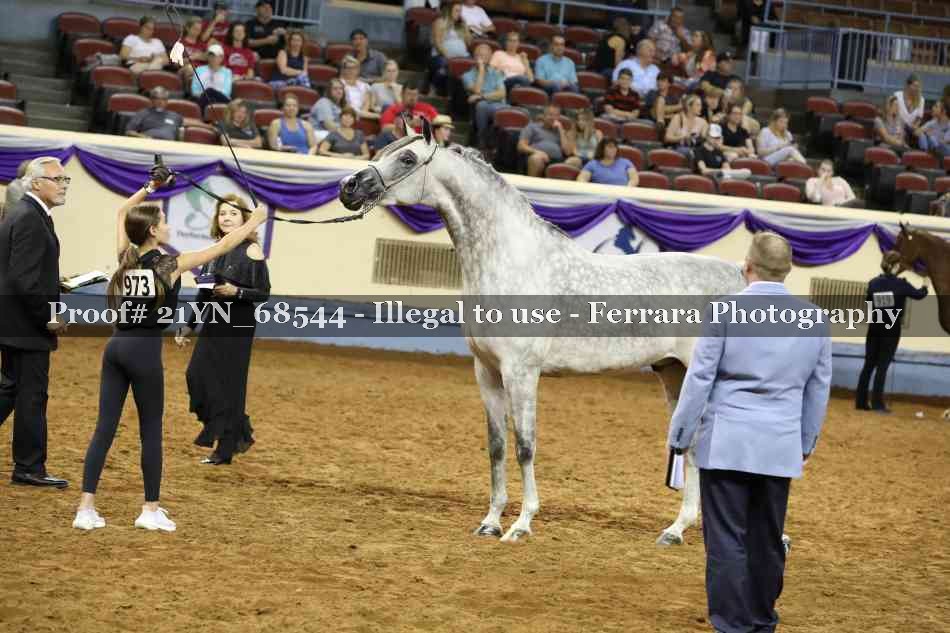 Proof Number 21YN_68544