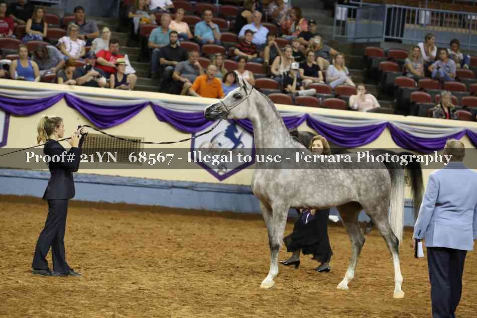Proof Number 21YN_68567
