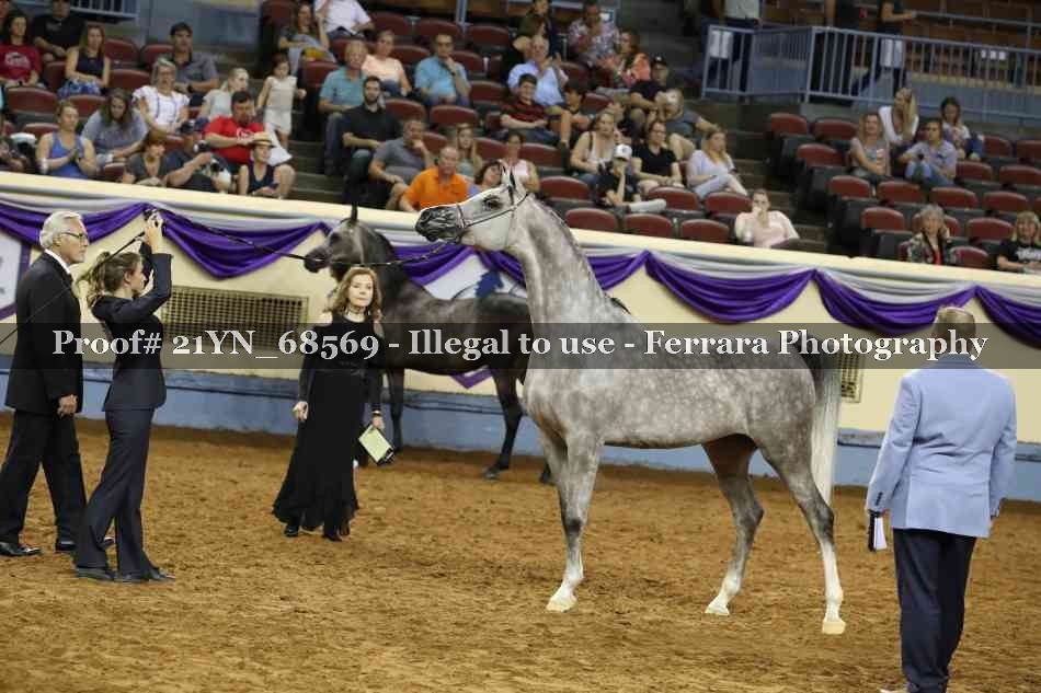 Proof Number 21YN_68569
