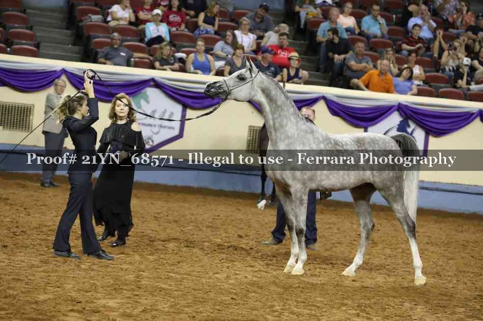 Proof Number 21YN_68571