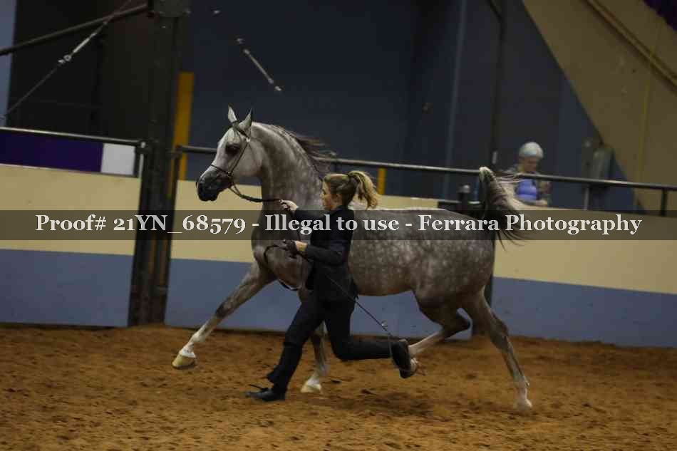 Proof Number 21YN_68579