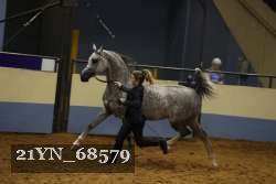 21YN_68579 thumbnail