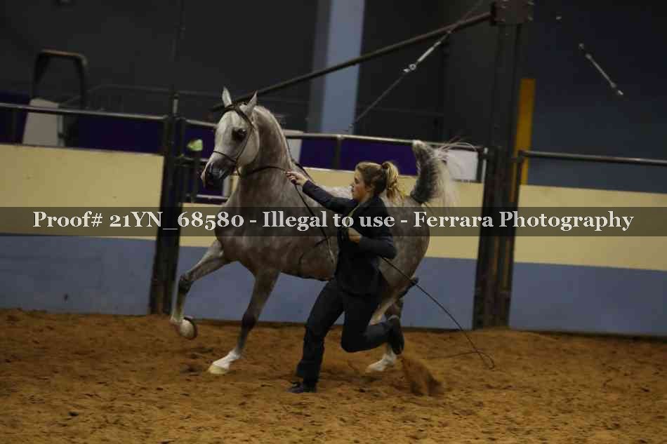 Proof Number 21YN_68580